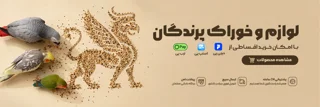 پت شاپ پرندگان