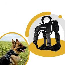 قلاده هارنس بایسون پت پلاس