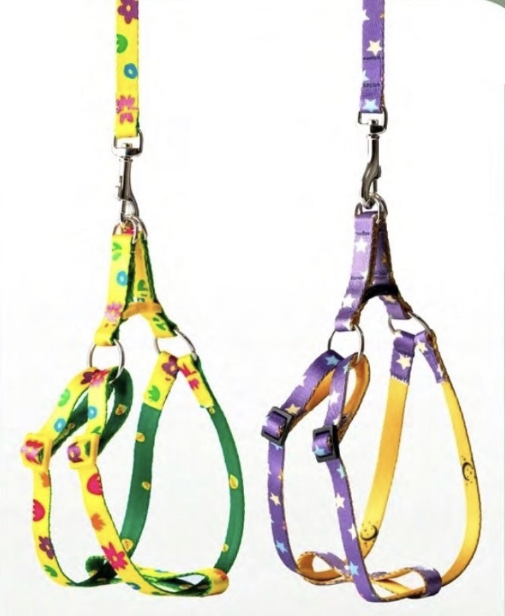 قلاده کتفی پاپی سایز xs پت پلاس